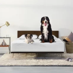 Machine Washable Waterproof Mattress Protector - Tuft & Needle -Bedding Promotion GUEST 19827f0d 28d0 4c0e 9286 47ed33bcccd0