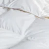 All Season Luxury White Duck Down Duvet Comforter Insert | BOKSER HOME 1 All Season Luxury White Duck Down Duvet Comforter Insert | BOKSER HOME -Bedding Promotion GUEST 3ce4ff52 a54b 448d a4fc 2752c1afa3d6
