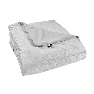 48"x72" Clean Comfort 20lbs Weighted Blanket With Removable Cover Gray - Sealy 7 48"x72" Clean Comfort 20lbs Weighted Blanket With Removable Cover Gray - Sealy - Image 5