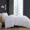 Heavy Warmth Goose Feather And Down Oversize Duvet Comforter Insert 1 Heavy Warmth Goose Feather And Down Oversize Duvet Comforter Insert -Bedding Promotion GUEST 9dd8787f f6af 42d6 99a9 e1d2919e53f5