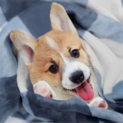 Best Seller -Bedding Promotion GUEST a78fc1c7 f84b 4093 9394 14de89ee013c