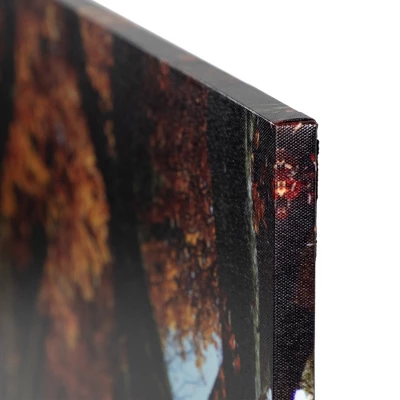 Northlight LED Lighted Fall Tree Archway With Lanterns Canvas Wall Art 23.5" X 15.5" 3 Northlight LED Lighted Fall Tree Archway With Lanterns Canvas Wall Art 23.5" X 15.5"