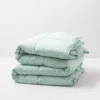 Twin Soft Touch Down Alternative Comforter Seafoam - Allied Home 2 Twin Soft Touch Down Alternative Comforter Seafoam - Allied Home -Bedding Promotion GUEST aad11d3e 7372 4eea 89b5 09e62941ba79