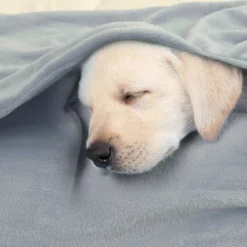 PiccoCasa 100% Polyester Soft Warm Fleece Plain Plush Bed Blankets 1 Pc -Bedding Promotion GUEST cd675e83 2897 41a4 bcf5 d79b58901d0d