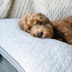 Coop Home Goods The Eden - Adjustable Memory Foam Pillow For Cool Sleepers -Bedding Promotion GUEST d0271a36 ea49 44d0 949c a96e3b53cd47