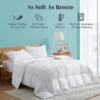 Peace Nest 360 Thread Count White Down Comforter Duvet Insert 1 Peace Nest 360 Thread Count White Down Comforter Duvet Insert -Bedding Promotion GUEST e11fc161 286e 47a2 ae65 88c758191390
