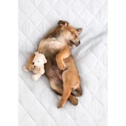 PharMeDoc Leak Proof Slip-Resistant Mattress Pad Protector 16 PharMeDoc Leak Proof Slip-Resistant Mattress Pad Protector -Bedding Promotion GUEST f9e49a72 ff02 4989 a11f 738424550171